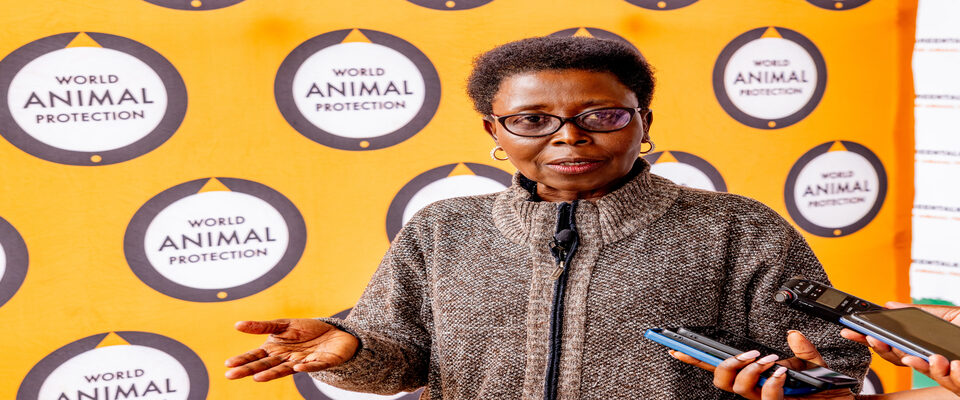 Edith Kabesiime, Wildlife Campaign Manager at World Animal protection