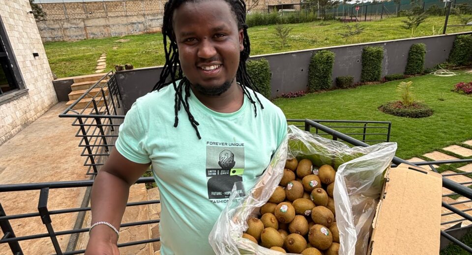 Douglas Macharia from Big Fruit with some of the first Zespri kiwifruit in Kenya that was procured from source by Fruitbox.