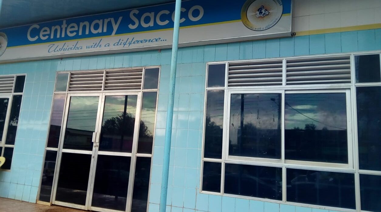 Centenary Sacco