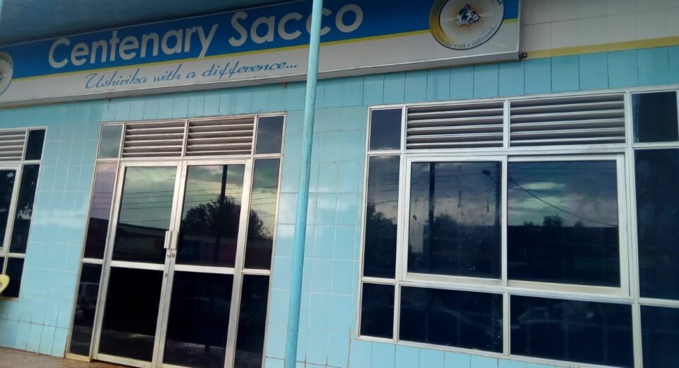 Centenary Sacco