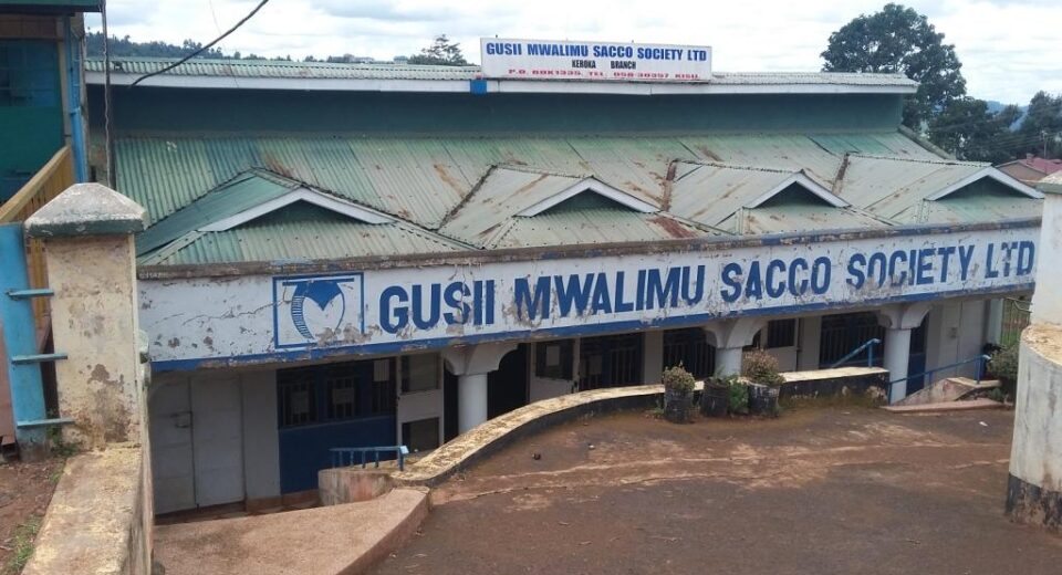 Gusii Mwalimu Sacco