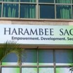 Stima Sacco Dividends 2025: Everything You Need to Know