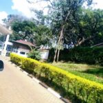 Complete List of Nyungwe Forest National Park Entrance Fees