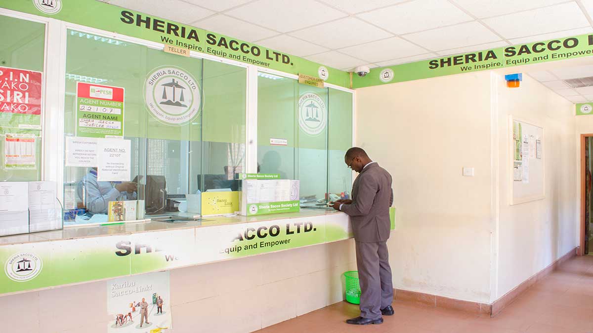 Sheria Sacco