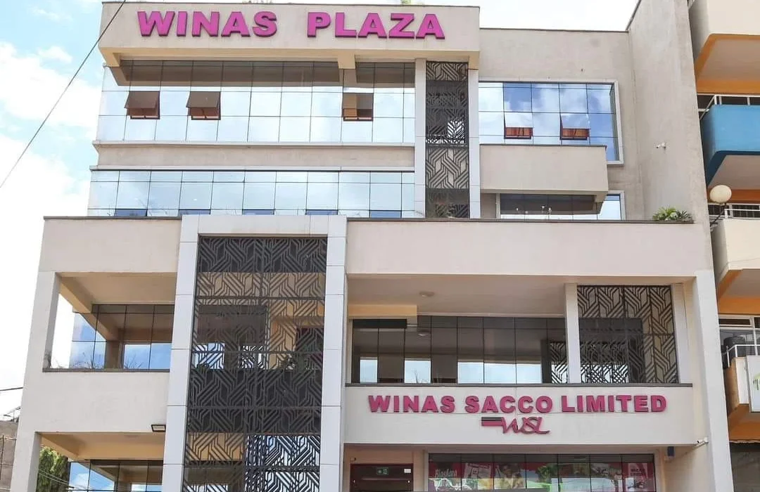 Winas Sacco