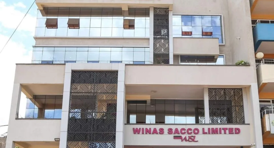 Winas Sacco