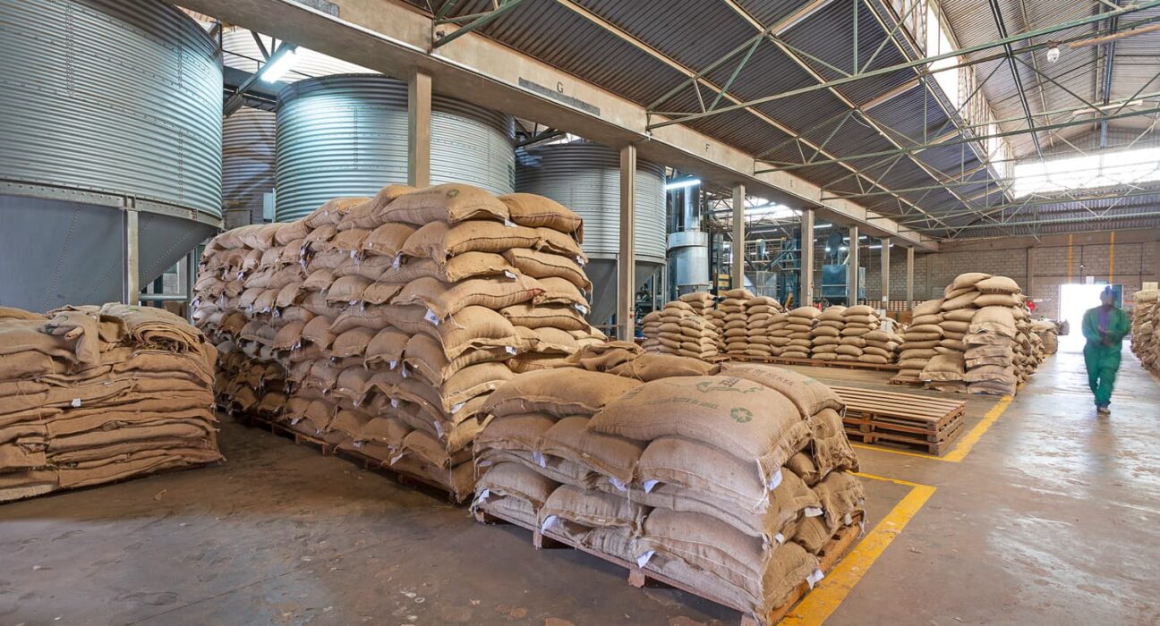 coffee kenya
