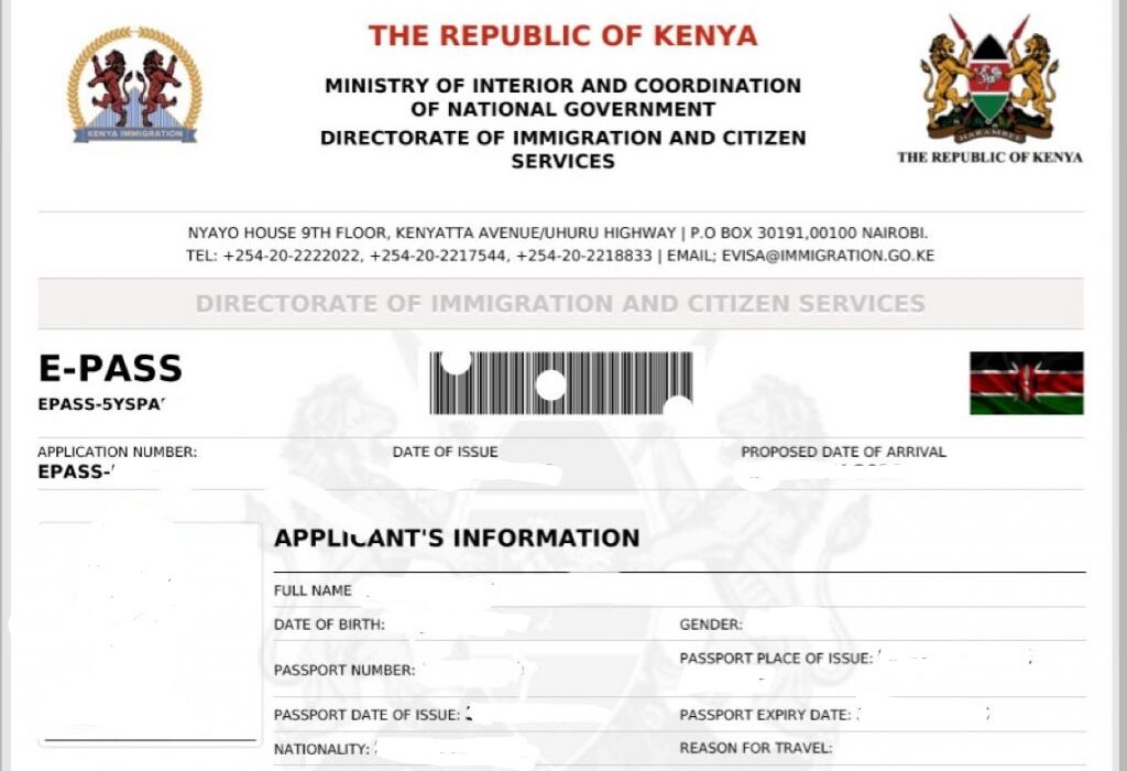 E visa