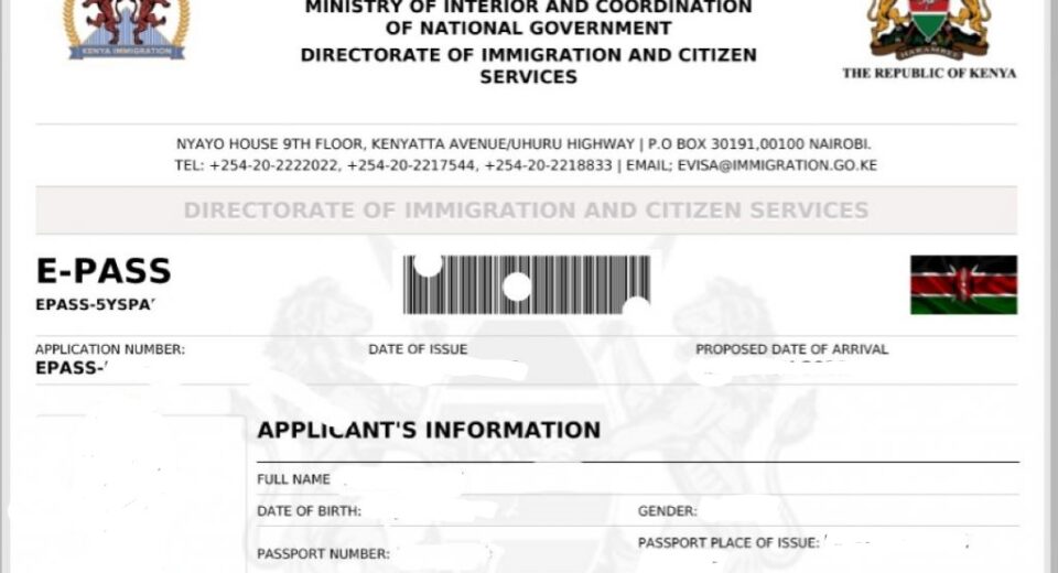 E visa