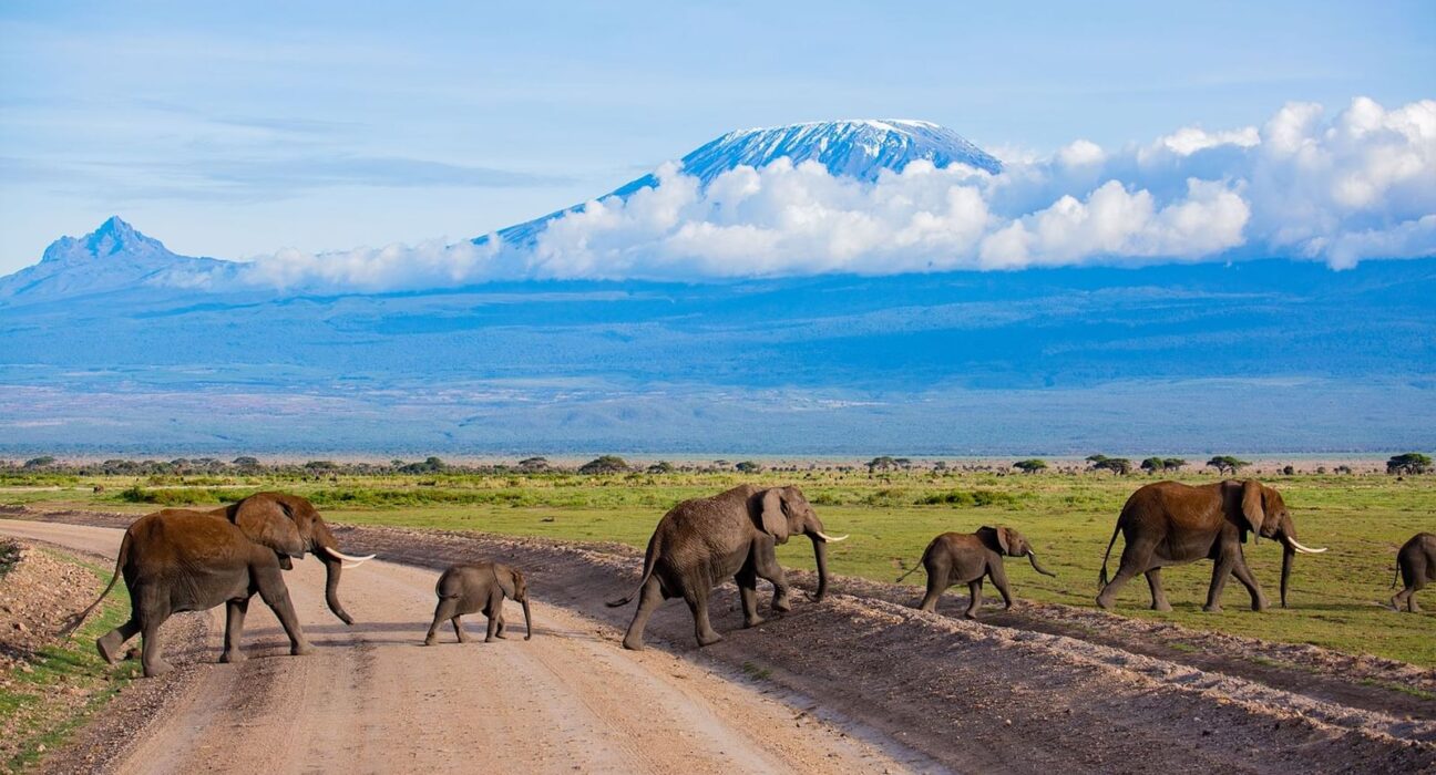 Amboseli National park