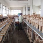 Full List of Licensed Tea Brokers in Kenya