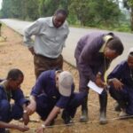 Complete Guide to Dragon Fruit Farming in Kenya: A Growing Opportunity