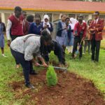 Full List of Courses Offered at KMTC Kakamega Campus and Fees Structure
