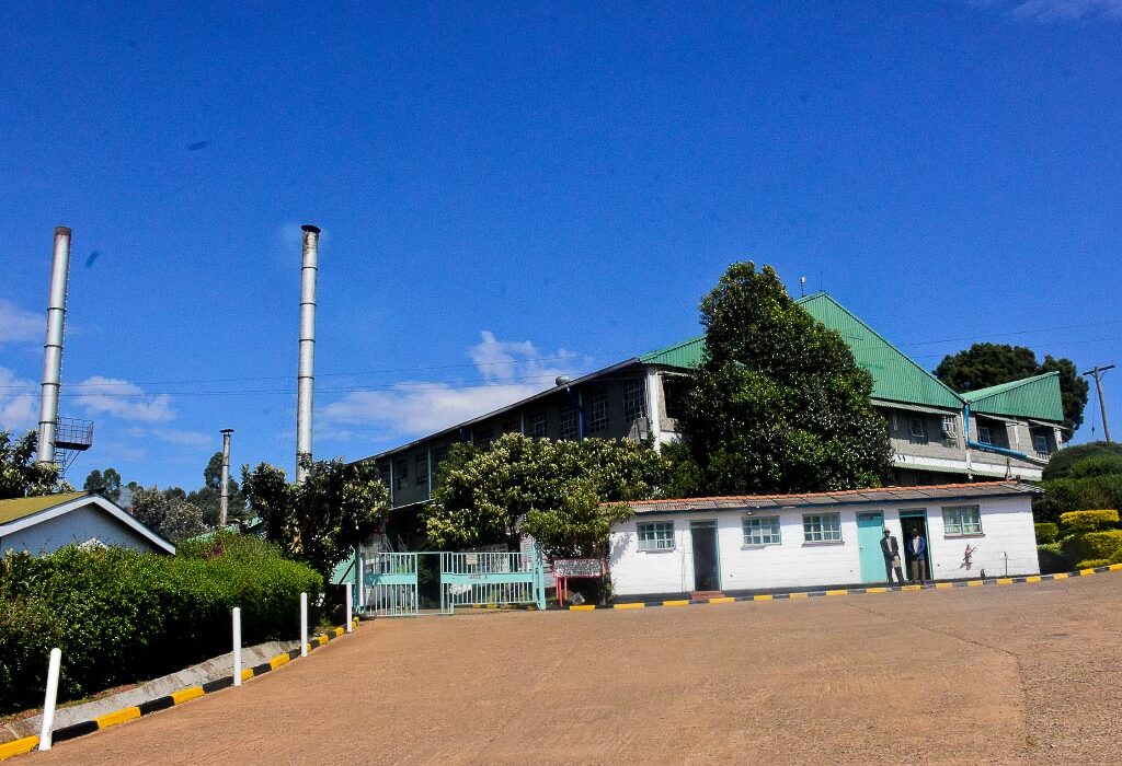 KTDA factory kenya