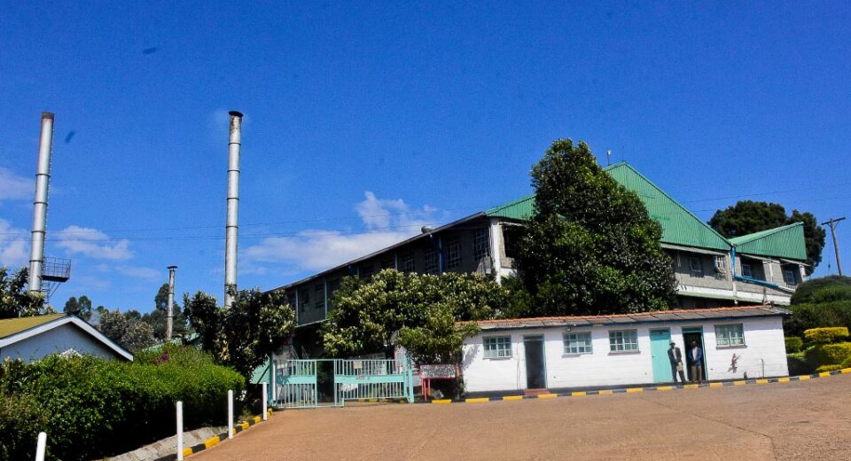 KTDA factory kenya