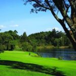 Complete List of VetLab Sports Club Membership Requirements and Fees