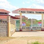 Full Guide to Yellow Beans Farming in Kenya: A Lucrative Agribusiness Venture