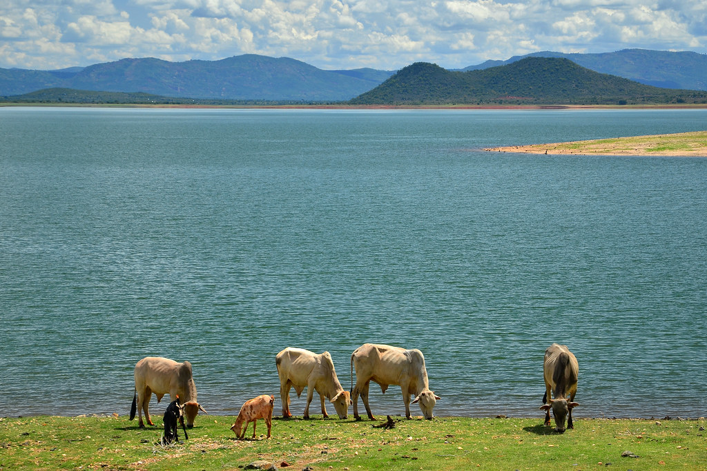 Masinga Dam