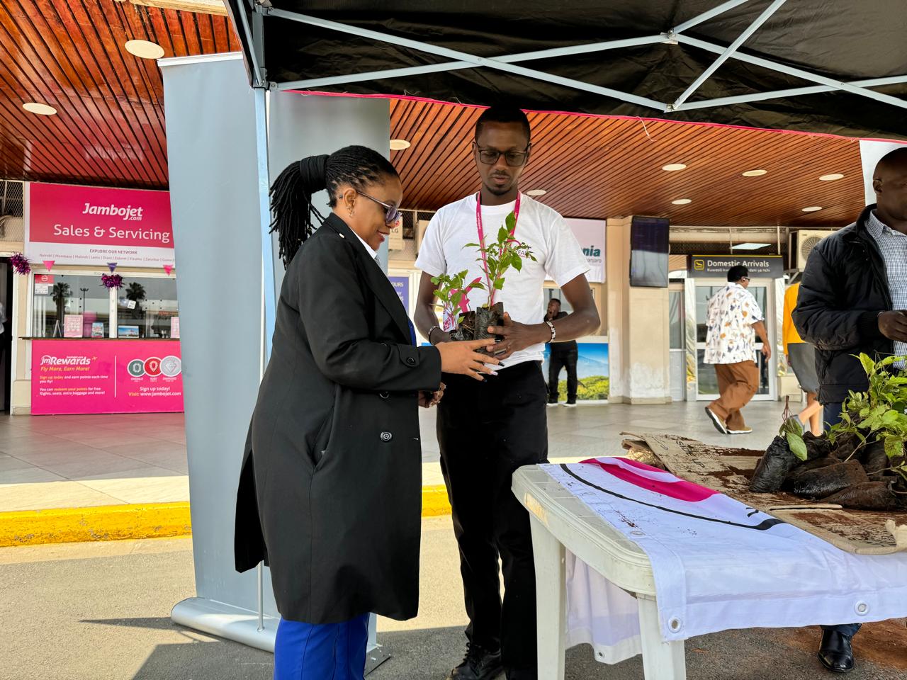 JAMBOJET AND ELDOWAS JOIN FORCES TO DISTRIBUTE SEEDLINGS TO CUSTOMERS IN SOME OF THEIR DESTINATIONS FOR MAZINGIRA DAY