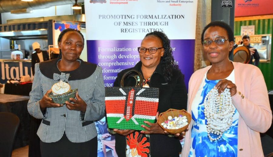 Micro and Small Enterprises Authority (MSEA)