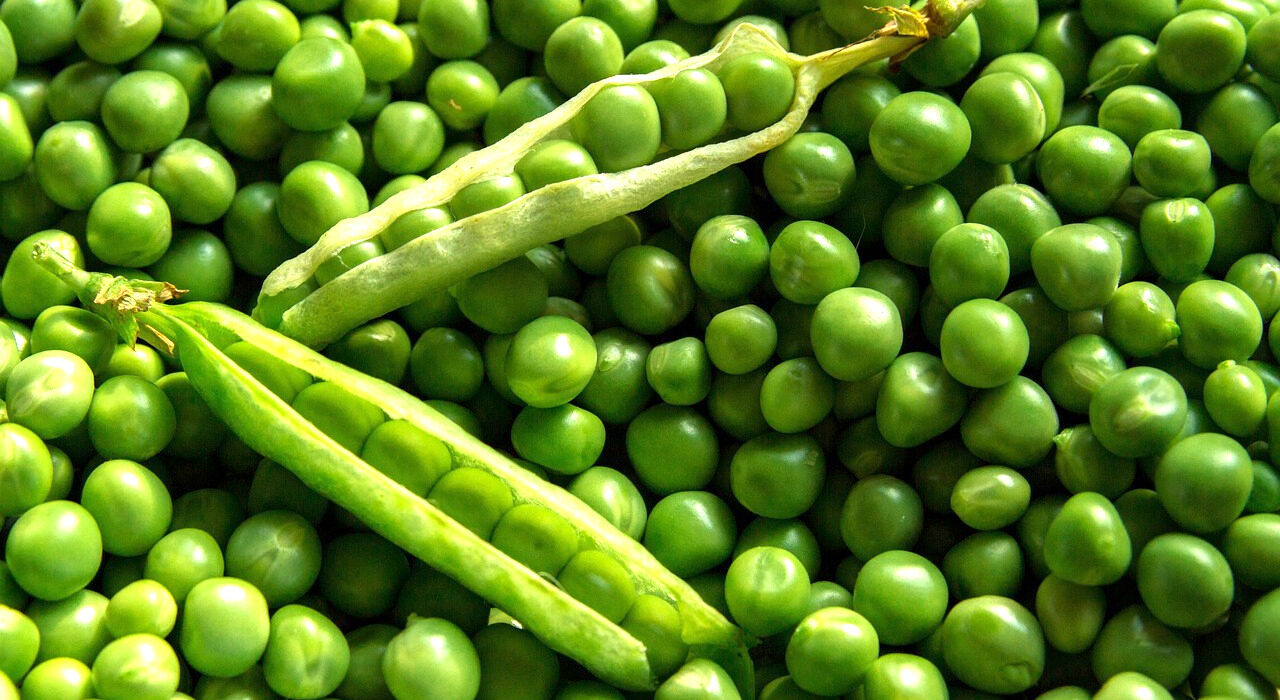 Minji Garden peas