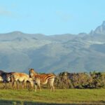Full List of Thomson’s Falls Nyahururu Entrance Fees, Experience, and Essential Tips for Visitors