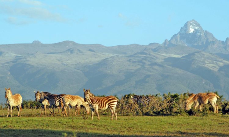 Mount Kenya Wildlife Conservancy