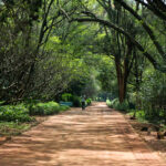 Full List of Best Hiking Gear Shops in Nairobi