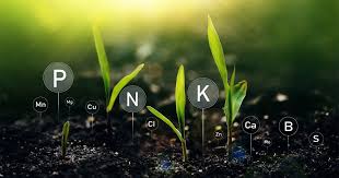 Soil testing