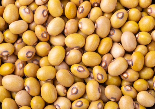 Yellow Beans