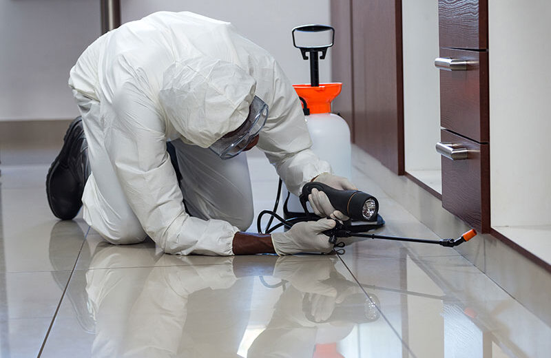 fumigation