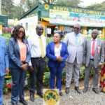 Blueline Safaris Shuttle Contacts and Services: Everything You Need to Know