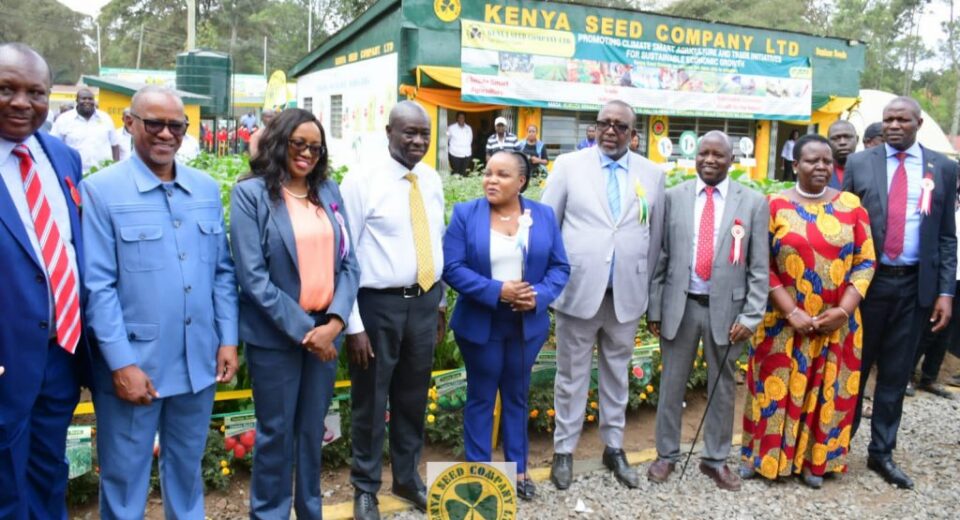 kenya seed company