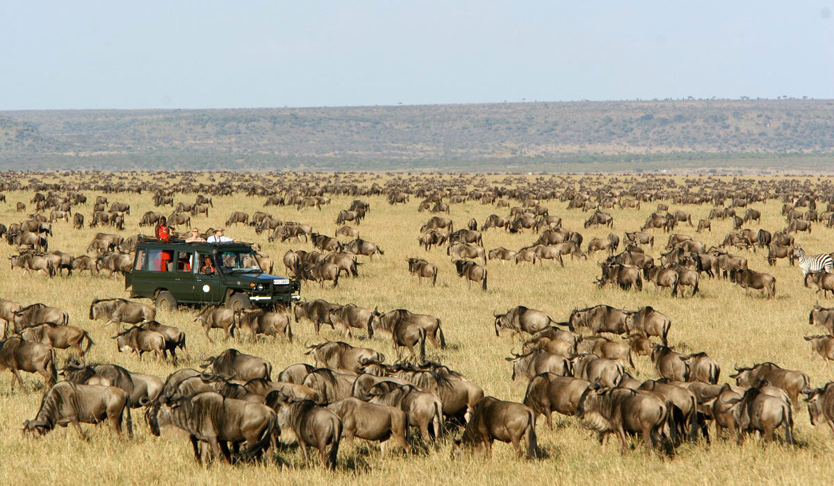 masai mara