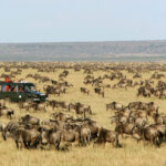 Full List of National Reserves in Kenya