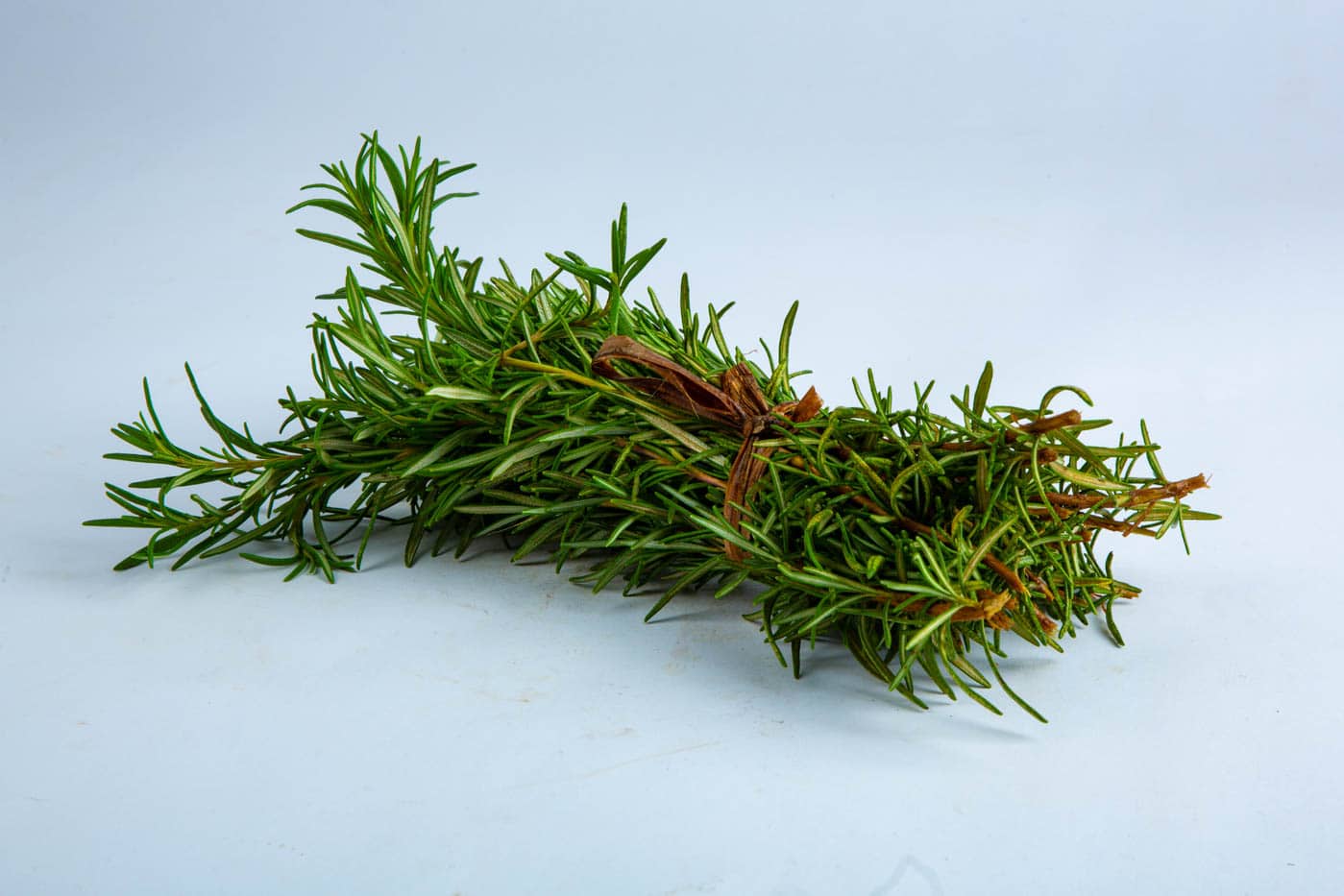 rosemary