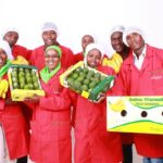 List of Top Agricultural Companies in Kenya