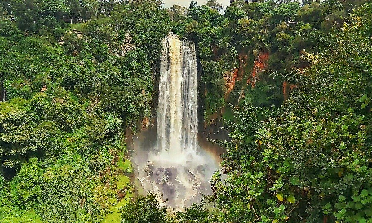 thomsons falls