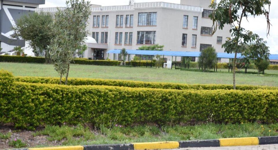 umma university