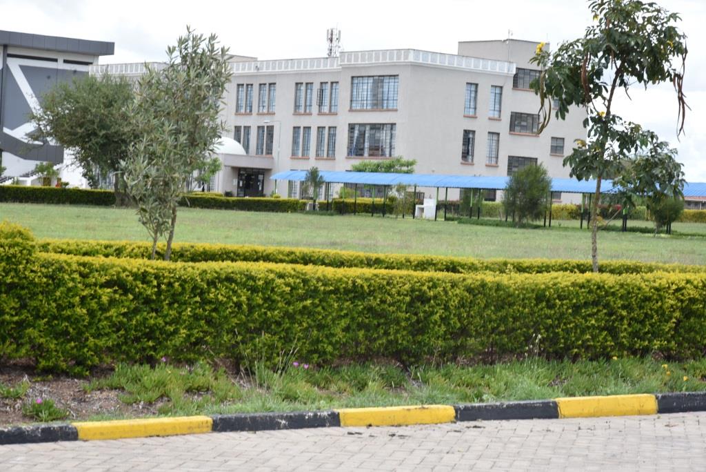 umma university