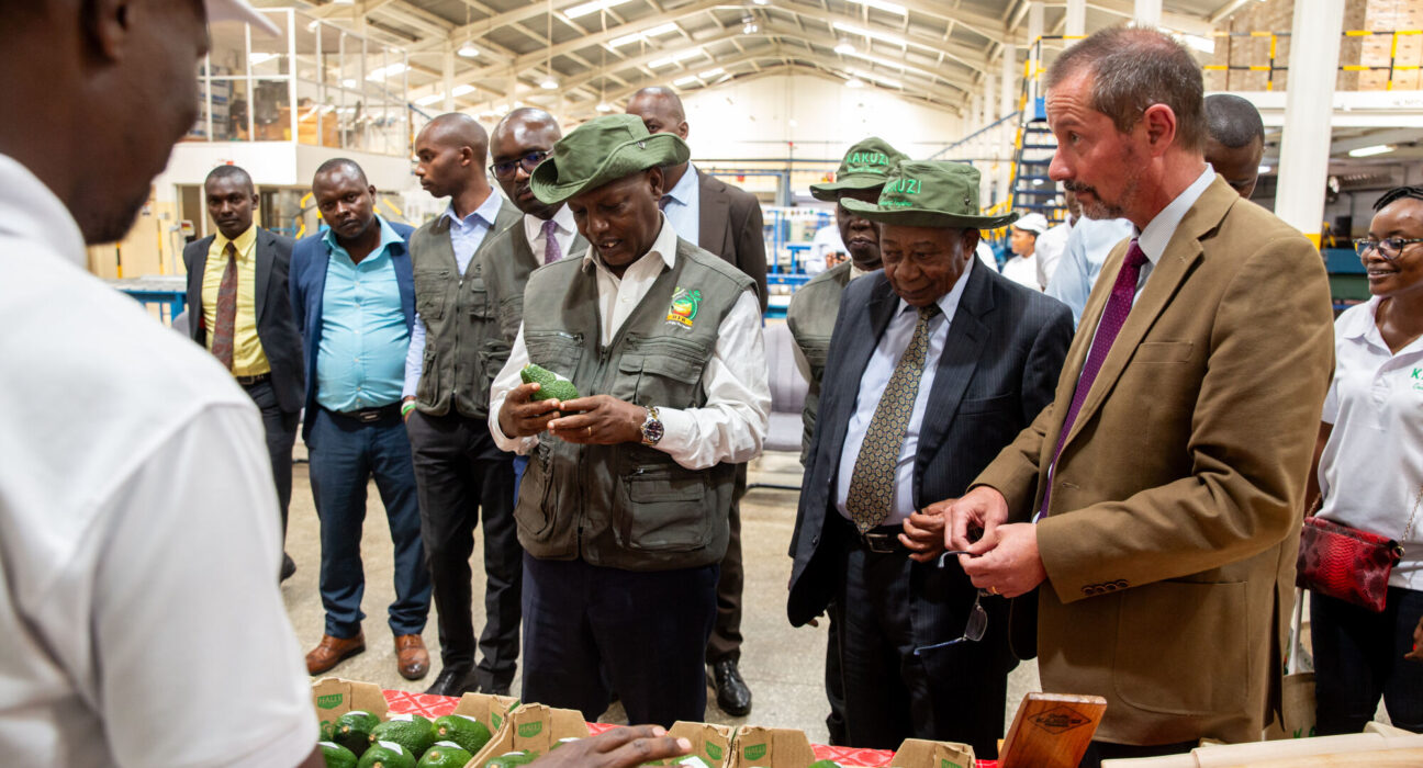 Agriculture CS Dr Andrew Mwihia admires an export grade Hass Avocado at Kakuzi Plc Packhouse (1)