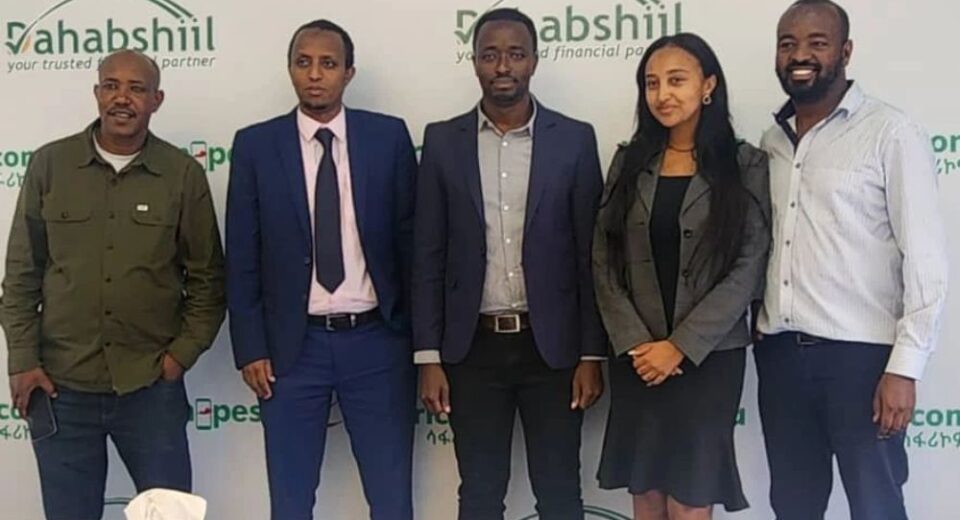 Dahabshiil kenya