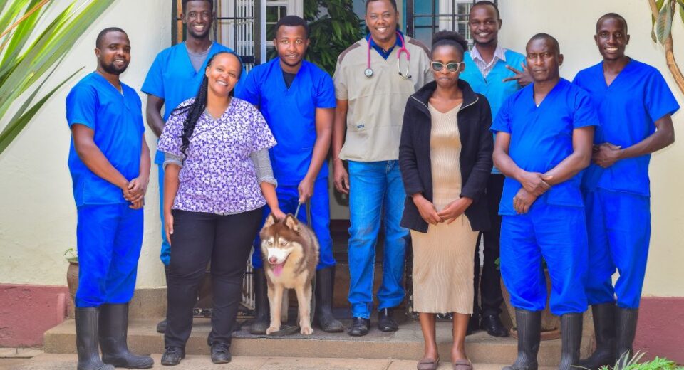 The Andys Veterinary Hospital
