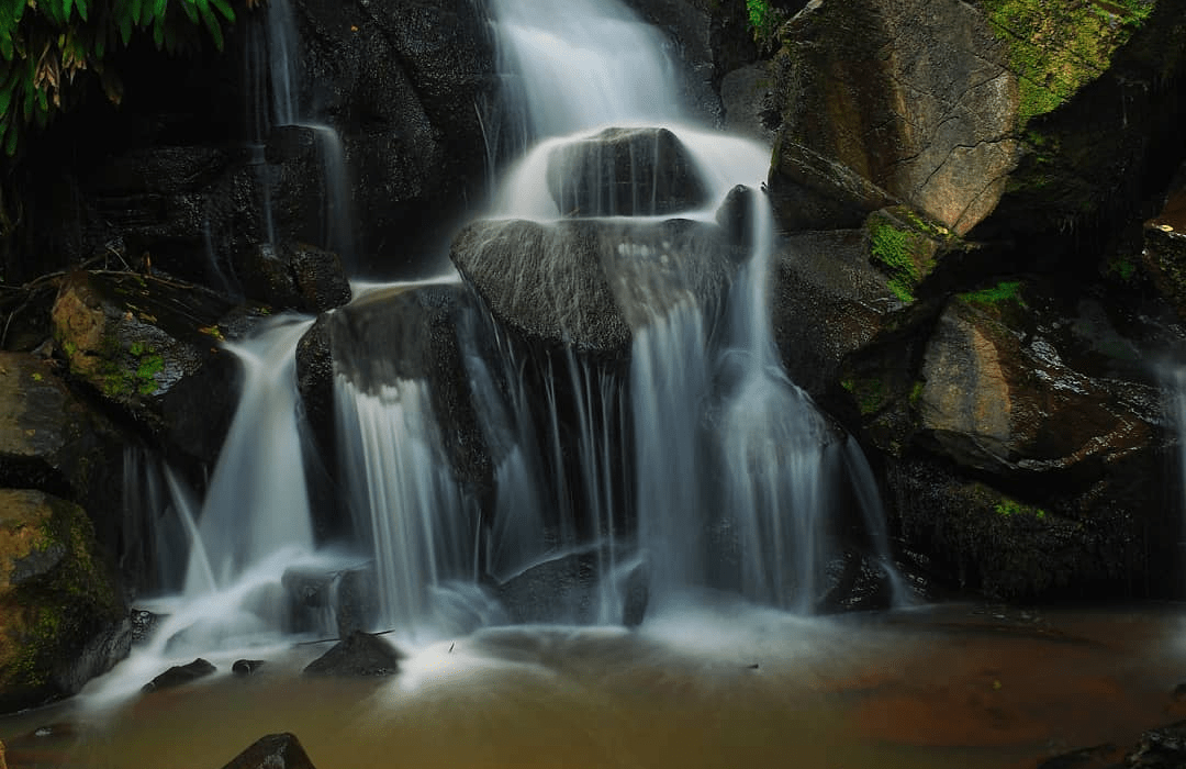 The Oloolua Nature Trail