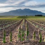 The Ultimate Guide to Lemon Farming in Kenya: All You Need to Know