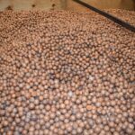 Beef Farming in Kenya: Everything You Need to Know
