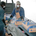 Full List of Cement Companies in Kenya: Everything You Need to Know