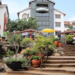 Best Courses for KCSE C- Students in Kenya: Career Paths That Pay