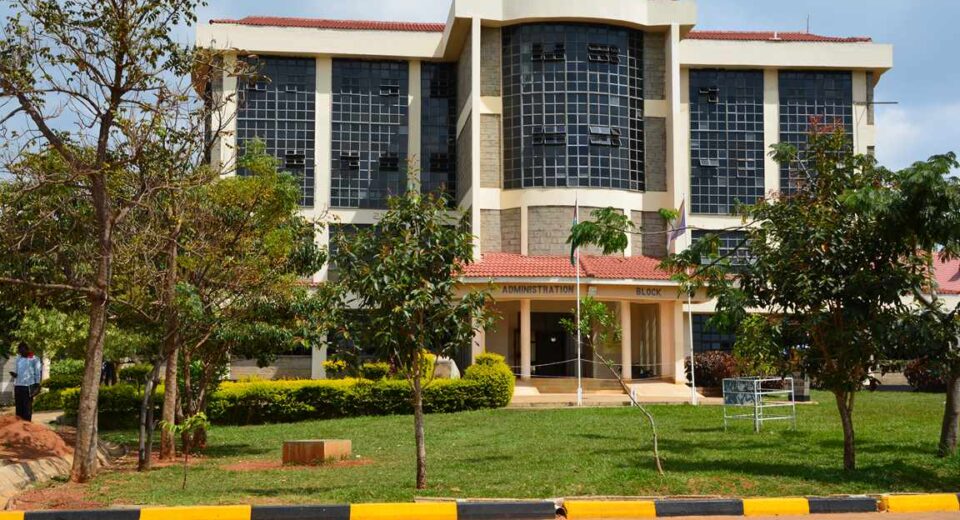 Kibabii University