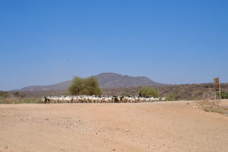 isiolo county